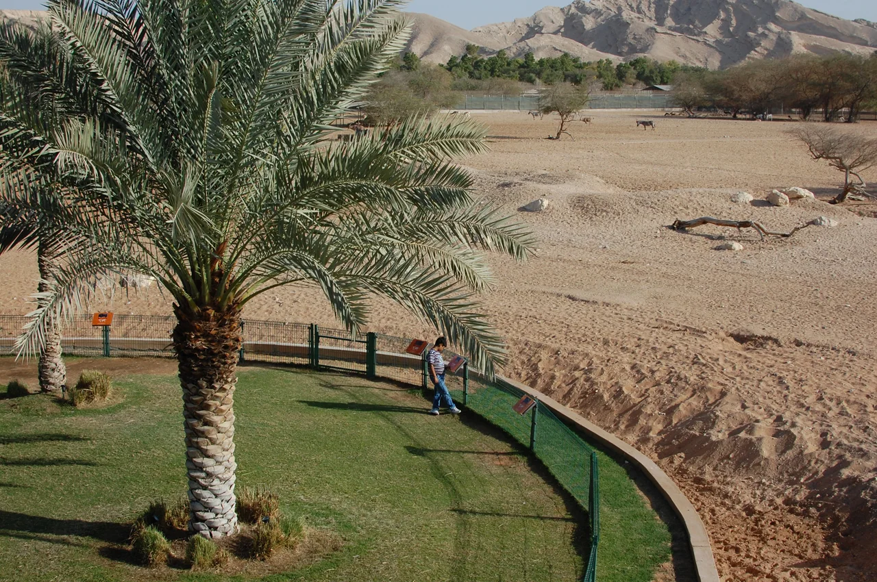 Al Ain Zoo Day Trip with Transfers