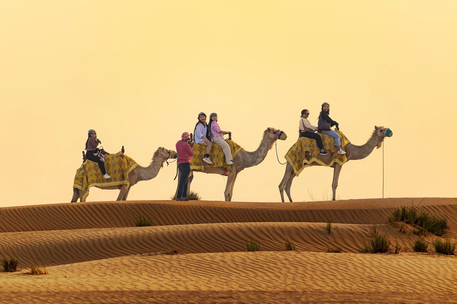 Camel Trekking in the Dubai Desert with Bedouin Guide
