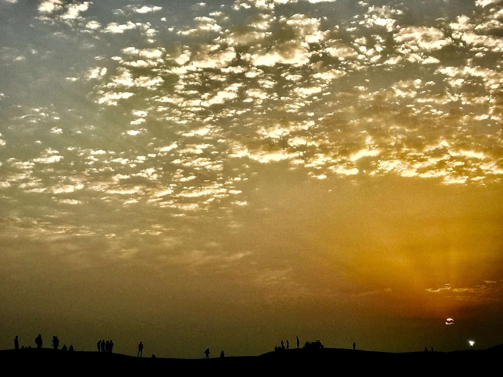 Sunrise Desert Safari Dubai with Breakfast in the Dunes