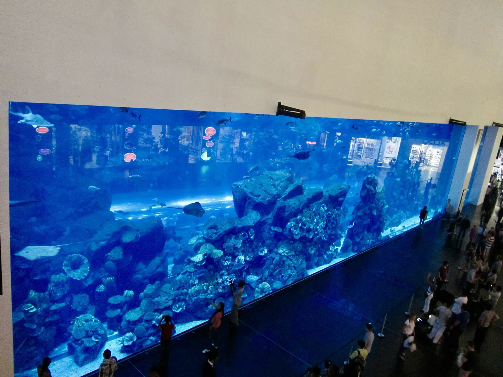 Dubai Aquarium and Underwater Zoo