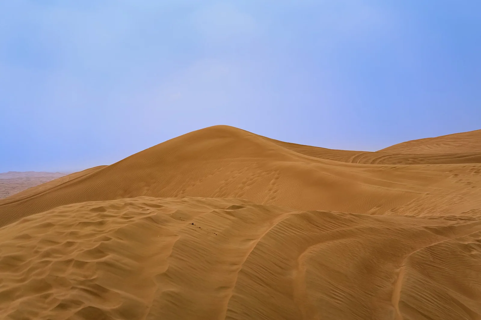 Family Desert Safari Dubai with Gentle Dunes and Kids' Activities